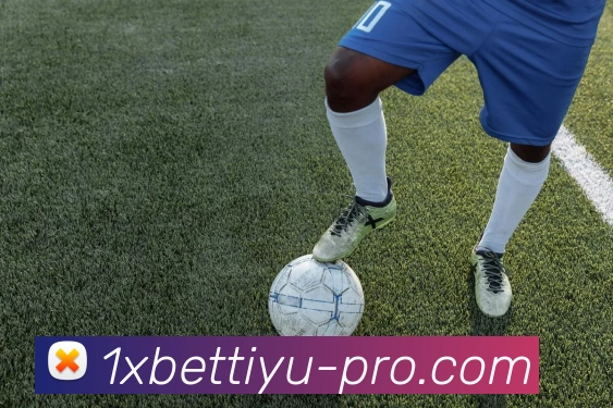 辅助工具 辅助工具